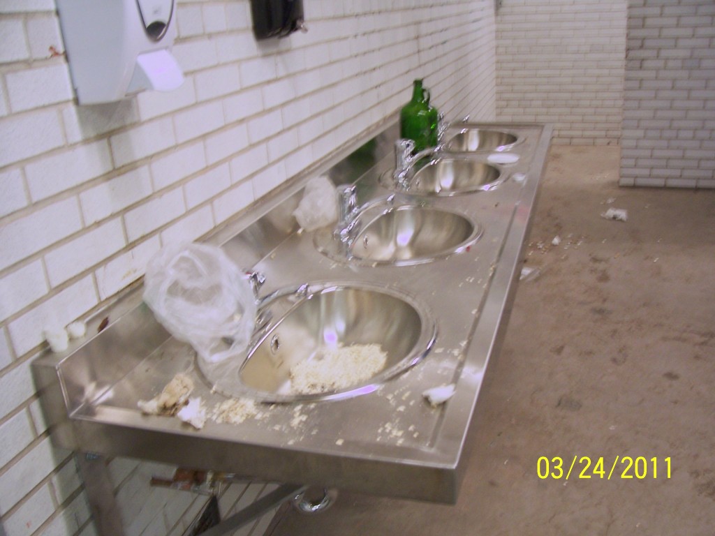 Bathroom destruction, Ward's Island, Toronto Islands