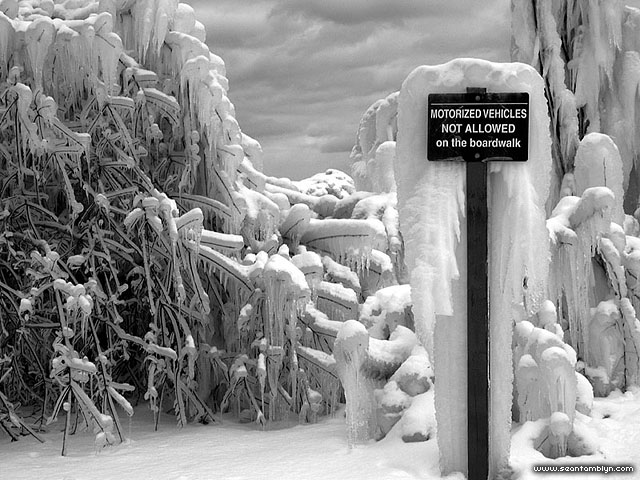 Ice covered sign, Centre Island, Toronto Islands