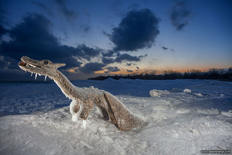 Log Ness Monster entombed in ice, Ward's Island, Toronto Islands