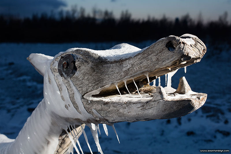 Icy sea monster, Ward's Island, Toronto Islands