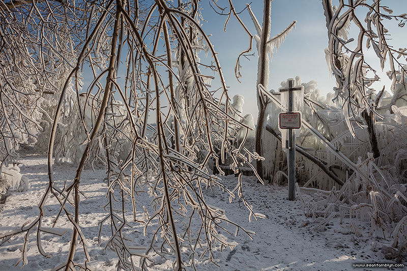 Ice formations on the boardwalk, Center Island, Toronto Islands