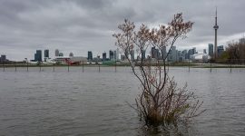 Water floods the perimeter fence, Toronto City Center Airport, Toronto Islands
