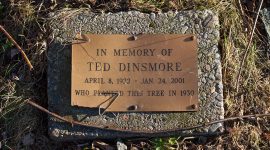 Memorial plaque for Ted Dinsmore, Centre Island, Toronto Islands
